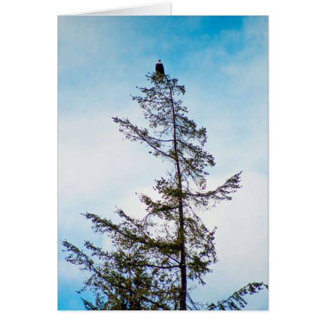 Se Torn OBS Kort (Framsidan)