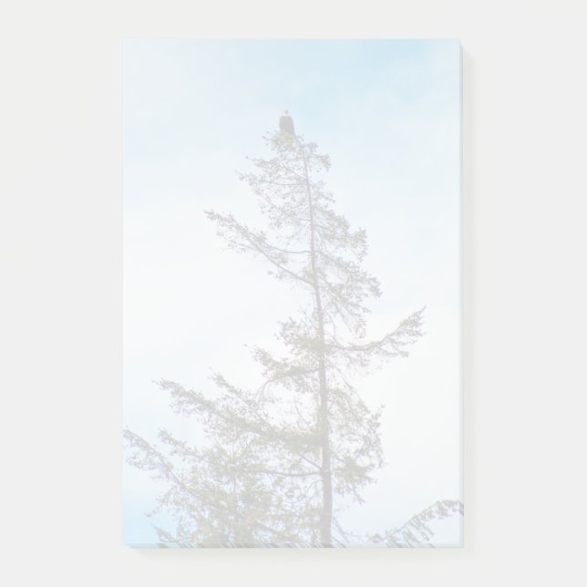 Se Torn Post-it Block (Framsida)