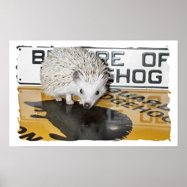 Se upp för Hedgehog Poster (Framsidan)