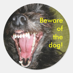 Se upp för hund runt klistermärke