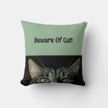 Se upp för kattruta