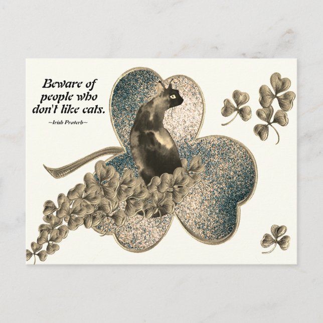 Se upp för människor som inte tycker om katter vykort (Framsida)