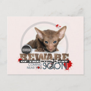 Se upp för Ninja Cat Vykort