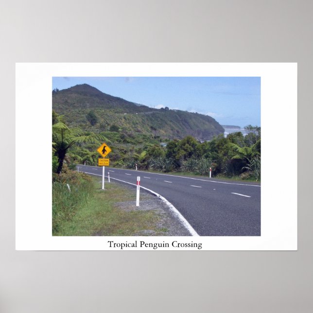 Se upp för penguiner poster (Framsidan)