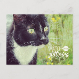 Se upp med Glittering Öga Cat Vykort