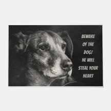 Se upp med hund, anpassningsbarnas husfoto
