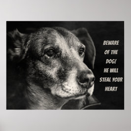 Se upp med hund, anpassningsbarnas husfoto poster