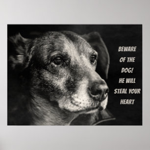 Se upp med hund, anpassningsbarnas husfoto poster