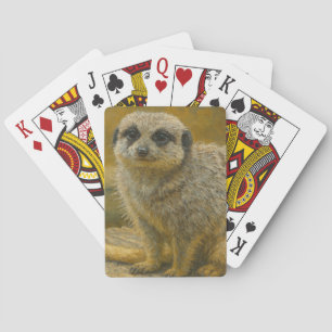 Se upp stillhet - Realistiskt Meerkat Porträtt Casinokort