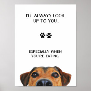 Se upp till dig det rolig hund meddelandet poster