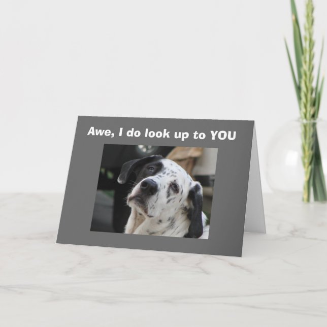 SE UPP TILL DIG ÖVER BACKE KORT (Framsida)