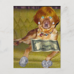 SE VAD JAG GÖR FÖR PENGEPOSTCARD VYKORT