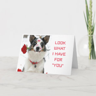 SE VAD "JAG HAR FÖR DIG" SPECIELL DAG ELLER KVÄLL KORT