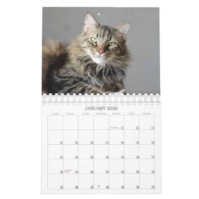 Se vad katten kom med i kalender för rädding 2015 (Jan 2026)