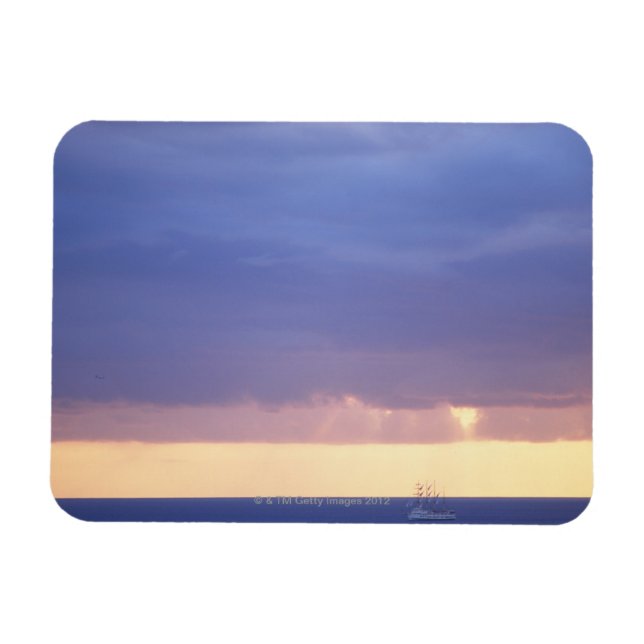 Sea 4 magnet (Horisontell)