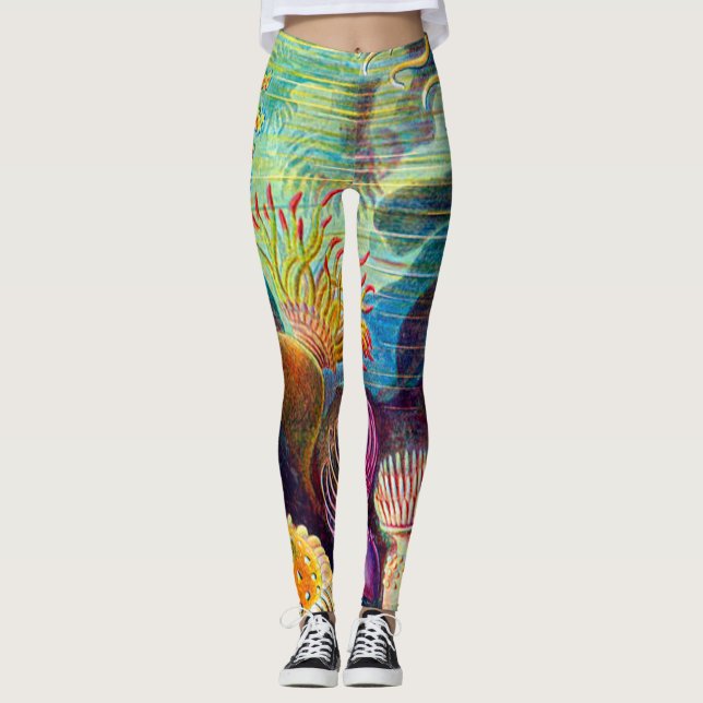Sea Anemone - Ernst Haeckel Leggings (Framsida)