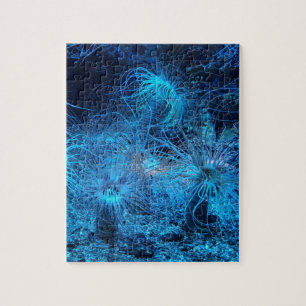 Sea Anemone och Coral Reef Pussel