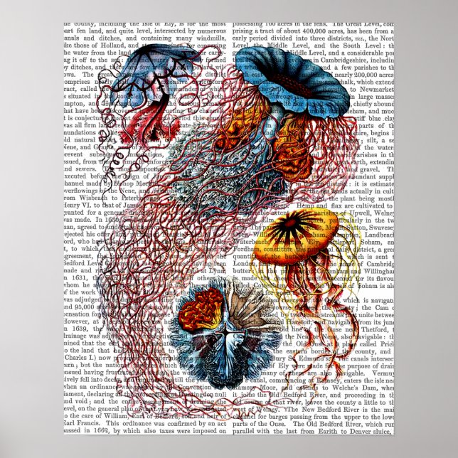 Sea Anemone Poster (Framsidan)