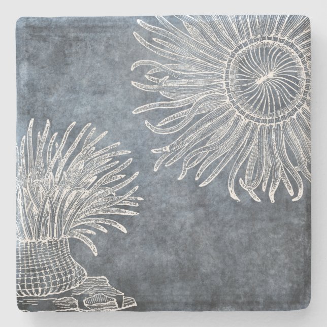 Sea Anemone Watercolor Twilight Ocean Blue White Stenunderlägg (Framsidan)