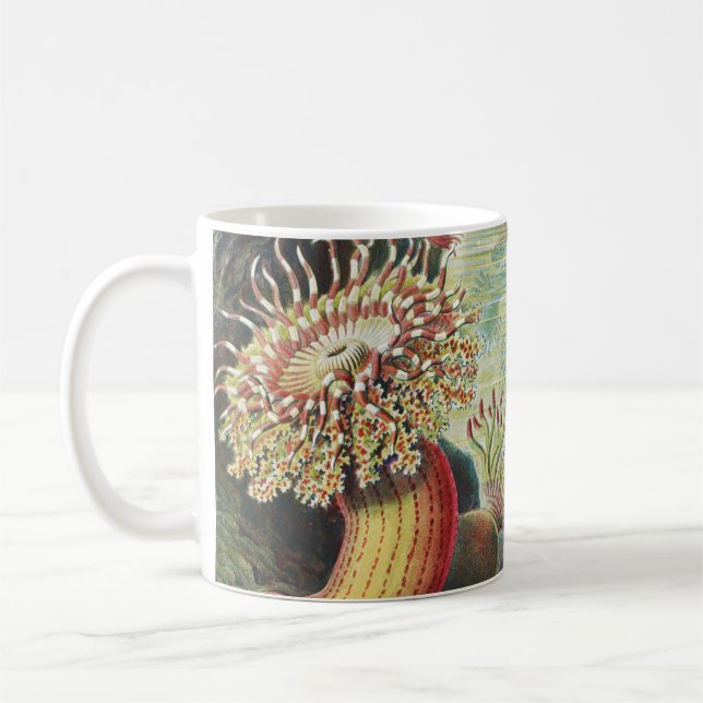 Sea Anemones, Actiniae Seeanemonen Ernst Haeckel Kaffemugg (Vänster)