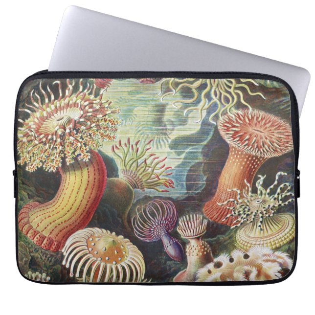 Sea Anemones, Actiniae Seeanemonen Ernst Haeckel Laptop Fodral (Framsidan)