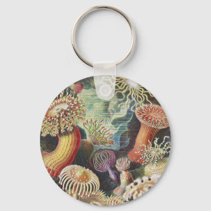 Sea Anemones, Actiniae Seeanemonen Ernst Haeckel Nyckelring