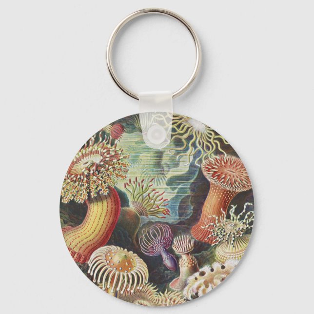 Sea Anemones, Actiniae Seeanemonen Ernst Haeckel Nyckelring (Framsida)