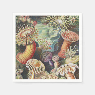 Sea Anemones, Actiniae Seeanemonen Ernst Haeckel Pappersservett
