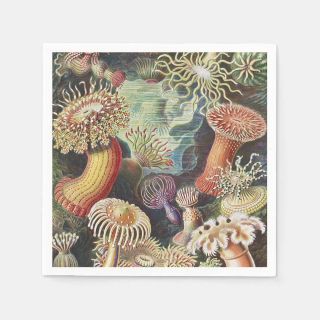 Sea Anemones, Actiniae Seeanemonen Ernst Haeckel Pappersservett (Framsidan)