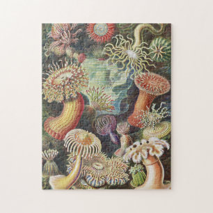 Sea Anemones, Actiniae Seeanemonen Ernst Haeckel Pussel