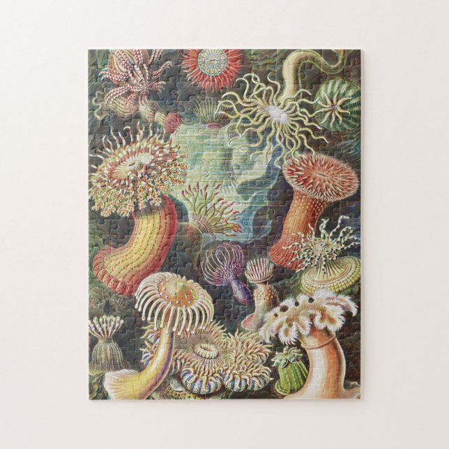 Sea Anemones, Actiniae Seeanemonen Ernst Haeckel Pussel (Vertikal)