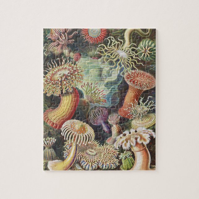 Sea Anemones, Actiniae Seeanemonen Ernst Haeckel Pussel (Vertikal)