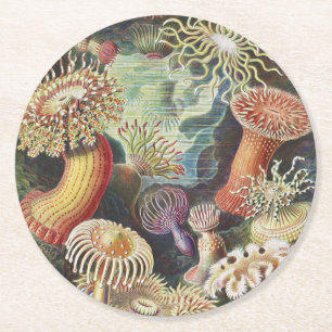 Sea Anemones, Actiniae Seeanemonen Ernst Haeckel Underlägg Papper Rund