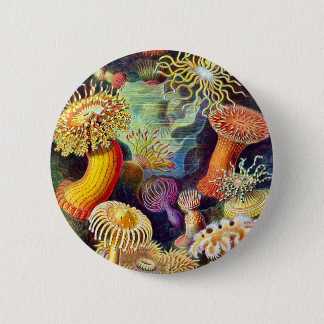 Sea Anemones Ernst Haeckel Fine Art Knapp (Framsida)