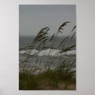 Sea Breeze Poster
