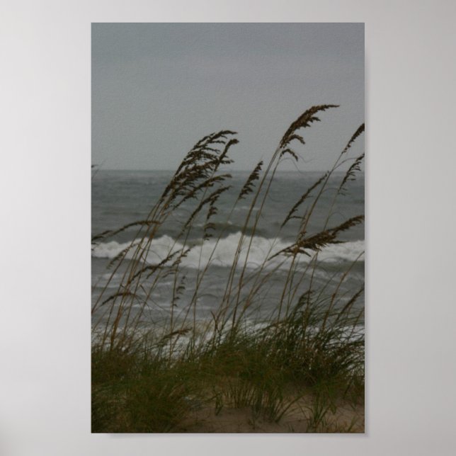Sea Breeze Poster (Framsidan)