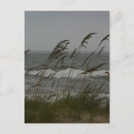 Sea Breeze Vykort
