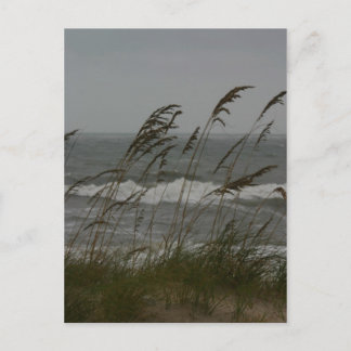 Sea Breeze Vykort