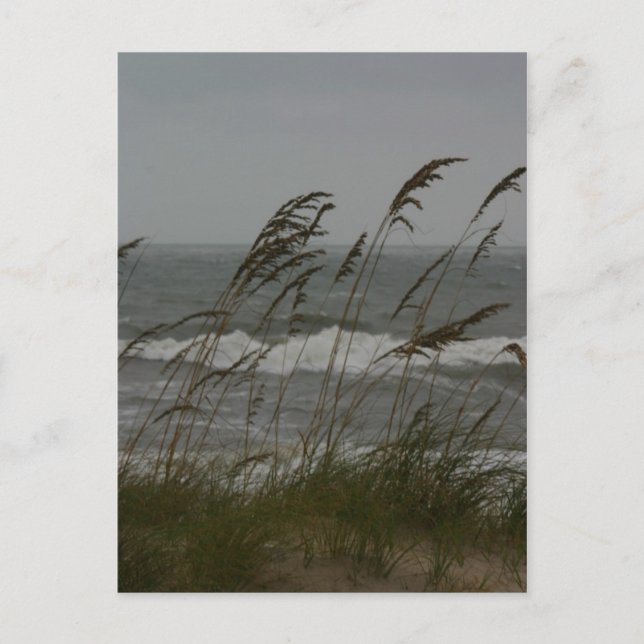 Sea Breeze Vykort (Framsida)