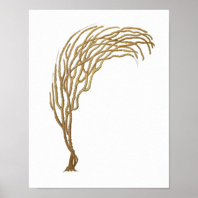 Sea Coral No.3 Antique Natural History Print Poster (Framsidan)