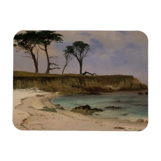 Sea Cove Magnet (Horisontell)