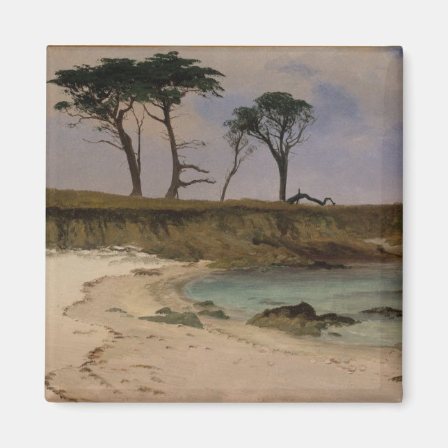 Sea Cove Magnet (Framsidan)