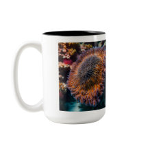 Sea Cucumber Mugg