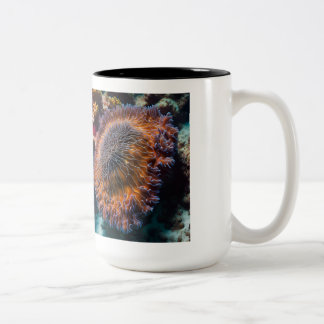 Sea Cucumber Mugg