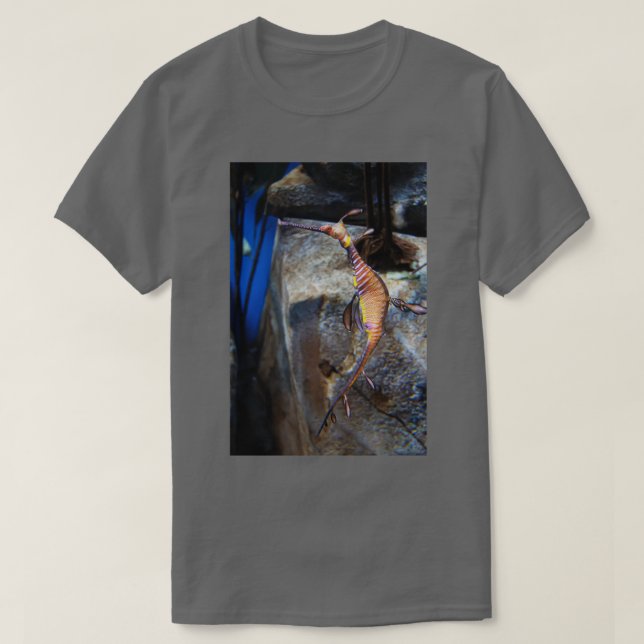 Sea Dragon Atlanta Aquarium Georgia T Shirt (Design framsida)