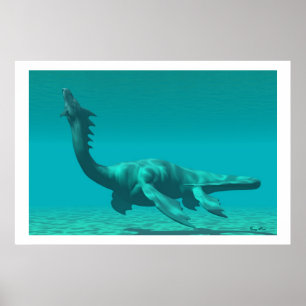 SEA DRAGON PRINT POSTER