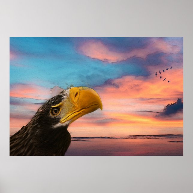 Sea Eagle Poster (Framsidan)