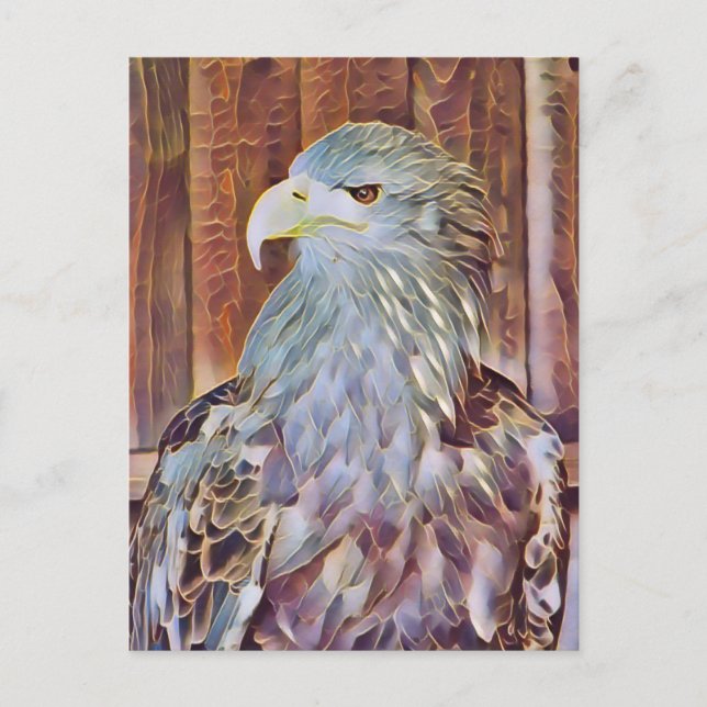 SEA EGLE VYKORT (Framsida)