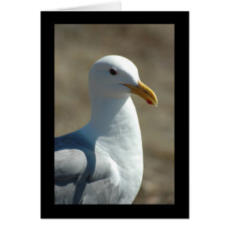 Sea Gull Hälsningskort