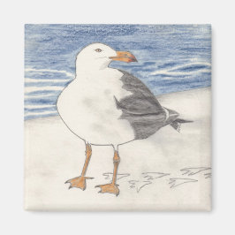 SEA GULL-magnet (kvadrat) Magnet